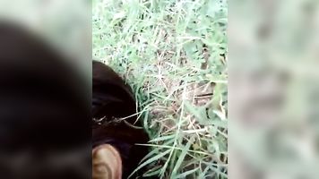 Desi Chica Sexo Al Aire Libre Con Audio Hindi